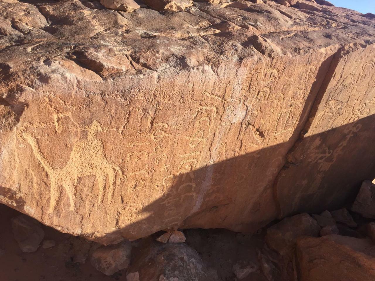 Friend Wadi Rum Esterno foto