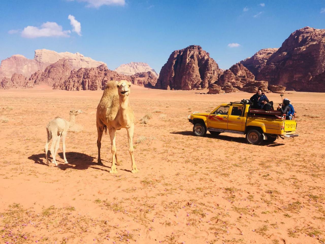 Friend Wadi Rum Esterno foto